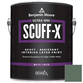 Краска Ultra Spec SCUFF-X Interior Matte Finish (484) цвет 637 Gothic Green