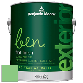 Benjamin Moore Ben 541 Waterborne Exterior Flat Finish краска цвет 2033-40 Lime Tart