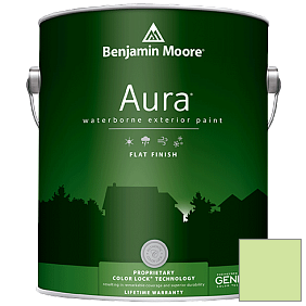 Краска Aura Waterborne Exterior Flat Finish (629) цвет 2031-50 Key Lime
