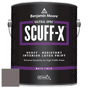 Benjamin Moore 484 Ultra Spec SCUFF-X Interior Matte Finish краска цвет NCS S 6005-R 