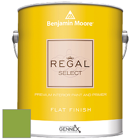 Benjamin Moore 547 Regal Select Waterborne Interior Flat Finish краска цвет 2029-30 Rosemary Green