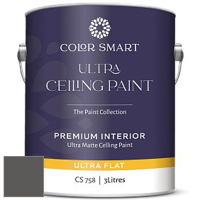 COLOR SMART CS 758 ULTRA CEILING PAINT ультраматовая краска цвет 2134-30 Iron Mountain