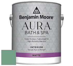 Benjamin Moore Aura 532 Bath & Spa Waterborne Interior Paint Matte Finish краска цвет NCS S 3030-G 
