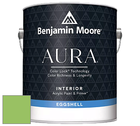 Benjamin Moore Aura 524 Waterborne Interior Eggshell Finish краска цвет NCS S 1060-G30Y 