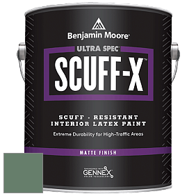 Benjamin Moore 484 Ultra Spec SCUFF-X Interior Matte Finish краска цвет NCS S 5020-G10Y 