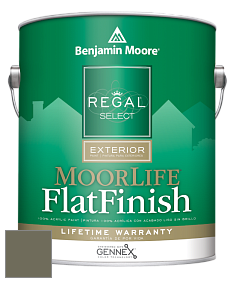 Benjamin Moore W105 Regal Select Exterior Paint-MoorLife Flat Finish краска цвет 2141-30 Army Green
