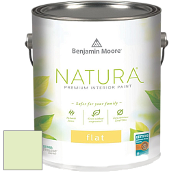 Benjamin Moore 512 Natura Interior Flat Finish матовая краска цвет 2031-60 Neon Celery