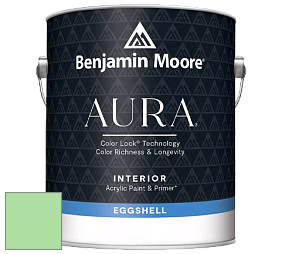 Benjamin Moore Aura 524 Waterborne Interior Eggshell Finish краска цвет NCS S 0540-G20Y 