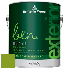 Benjamin Moore Ben 541 Waterborne Exterior Flat Finish краска цвет 2028-10 Iguana Green