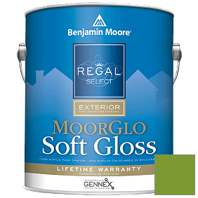 Краска Regal Select Exterior Paint-Moor GloSoft Gloss Finish (W096) цвет 2029-20 Baby Fern