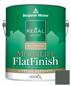 Краска Regal Select Exterior Paint-MoorLife Flat Finish (W105) цвет 707 Calico Blue