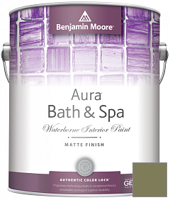 Краска Benjamin Moore Aura Bath & Spa Interior Paint Matte Finish (532) цвет 489 Oak Grove