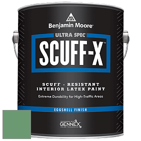 Benjamin Moore 485 Ultra Spec SCUFF-X Interior Eggshell Finish краска цвет NCS S 3040-G10Y 
