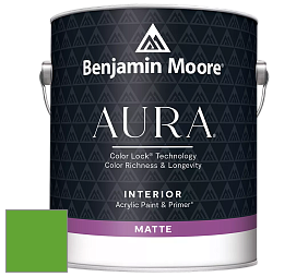 Benjamin Moore Aura 522 Interior Paint - Matte краска цвет 2032-20 Traffic Light Green