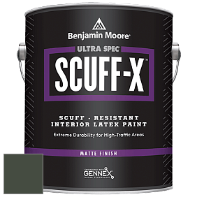 Benjamin Moore 484 Ultra Spec SCUFF-X Interior Matte Finish краска цвет NCS S 8010-G30Y 