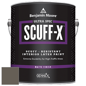 Benjamin Moore 484 Ultra Spec SCUFF-X Interior Matte Finish краска цвет NCS S 7005-Y 