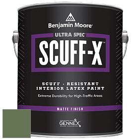 Benjamin Moore 484 Ultra Spec SCUFF-X Interior Matte Finish краска цвет NCS S 5030-G30Y 
