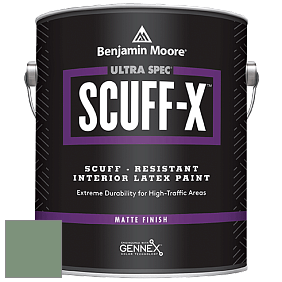 Benjamin Moore 484 Ultra Spec SCUFF-X Interior Matte Finish краска цвет HC-131 BM HC-131