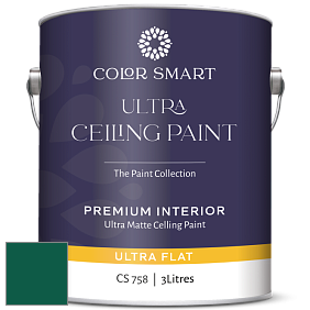 COLOR SMART CS 758 ULTRA CEILING PAINT ультраматовая краска цвет NCS S 5540-B90G 