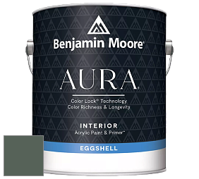 Benjamin Moore Aura 524 Waterborne Interior Eggshell Finish краска цвет NCS S 7010-G10Y 