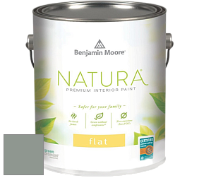 Benjamin Moore 512 Natura Interior Flat Finish матовая краска цвет 1574 Rushing River