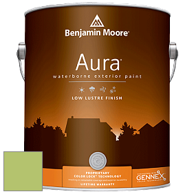 Benjamin Moore Aura 634 Waterborne Exterior Low Lustre Finish краска цвет 2029-40 Stem Green