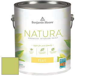 Benjamin Moore 512 Natura Interior Flat Finish матовая краска цвет 2028-40 Pear Green