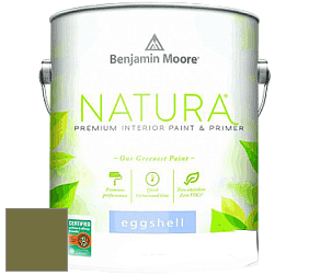 Benjamin Moore 513 Natura Interior Eggshell Finish краска с блеском цвет NCS S 5040-G60Y 