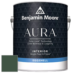 Benjamin Moore Aura 524 Waterborne Interior Eggshell Finish краска цвет NCS S 7020-G10Y 