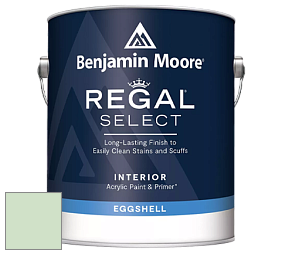 Benjamin Moore 549 Regal Select Waterborne Interior Eggshell Finish краска цвет 2034-60 Light Pistachio