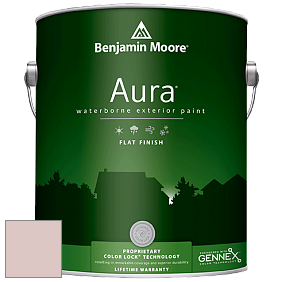 Benjamin Moore Aura 629 Waterborne Exterior Flat Finish краска цвет 2102-60 Honey Hut