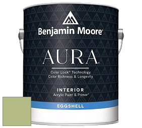 Benjamin Moore Aura 524 Waterborne Interior Eggshell Finish краска цвет NCS S 2030-G50Y 
