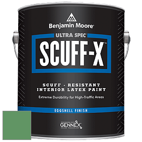 Benjamin Moore 485 Ultra Spec SCUFF-X Interior Eggshell Finish краска цвет 2036-30 Green with Envy