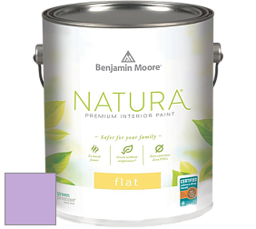 Benjamin Moore 512 Natura Interior Flat Finish матовая краска цвет NCS S 1040-R50B 