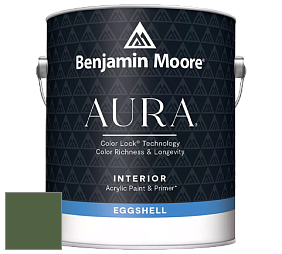 Benjamin Moore Aura 524 Waterborne Interior Eggshell Finish краска цвет NCS S 6030-G30Y 