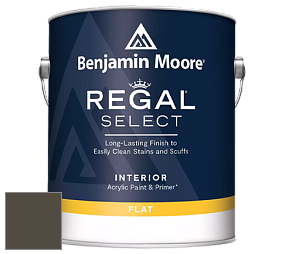 Benjamin Moore 547 Regal Select Waterborne Interior Flat Finish краска цвет NCS S 8005-Y 