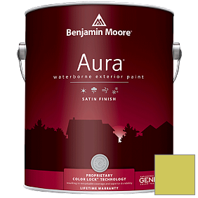 Краска Aura Waterborne Exterior Satin Finish (631) цвет 404 Electric Slide