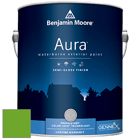 Benjamin Moore Aura 632 Waterborne Exterior Semi-Gloss Finish краска цвет 2030-20 Tropical Seaweed Green