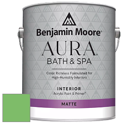 Benjamin Moore Aura 532 Bath & Spa Waterborne Interior Paint Matte Finish краска цвет NCS S 1060-G20Y 