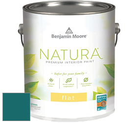Benjamin Moore 512 Natura Interior Flat Finish матовая краска цвет NCS S 5040-B40G 