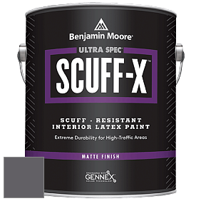Benjamin Moore 484 Ultra Spec SCUFF-X Interior Matte Finish краска цвет NCS S 7005-R50B 