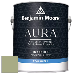 Benjamin Moore Aura 524 Waterborne Interior Eggshell Finish краска цвет NCS S 3020-G50Y 