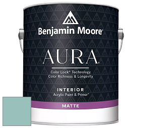 Benjamin Moore Aura 522 Interior Paint - Matte краска цвет NCS S 2020-B60G 