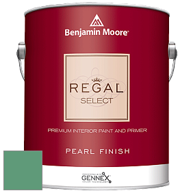 Benjamin Moore 550 Regal Select Waterborne Interior Pearl Finish краска цвет NCS S 3040-G 