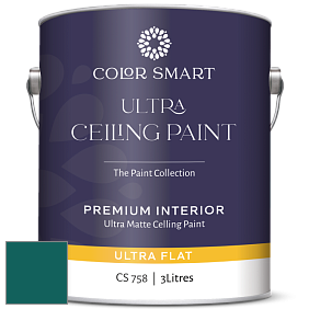 COLOR SMART CS 758 ULTRA CEILING PAINT ультраматовая краска цвет NCS S 5540-B50G 