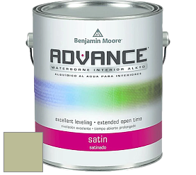 Benjamin Moore 792 Advance Interior Paint-Satin эмаль цвет NCS S 2020-G50Y 