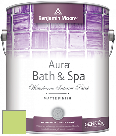 Benjamin Moore Aura 532 Bath & Spa Waterborne Interior Paint Matte Finish краска цвет NCS S 0550-G40Y 