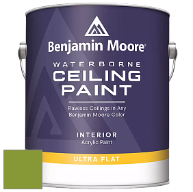Benjamin Moore 508 Waterborne Ceiling Paint краска для потолков цвет NCS S 2070-G40Y 