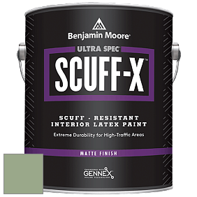 Benjamin Moore 484 Ultra Spec SCUFF-X Interior Matte Finish краска цвет NCS S 3020-G30Y 