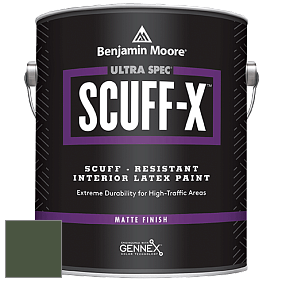 Benjamin Moore 484 Ultra Spec SCUFF-X Interior Matte Finish краска цвет NCS S 7020-G30Y 